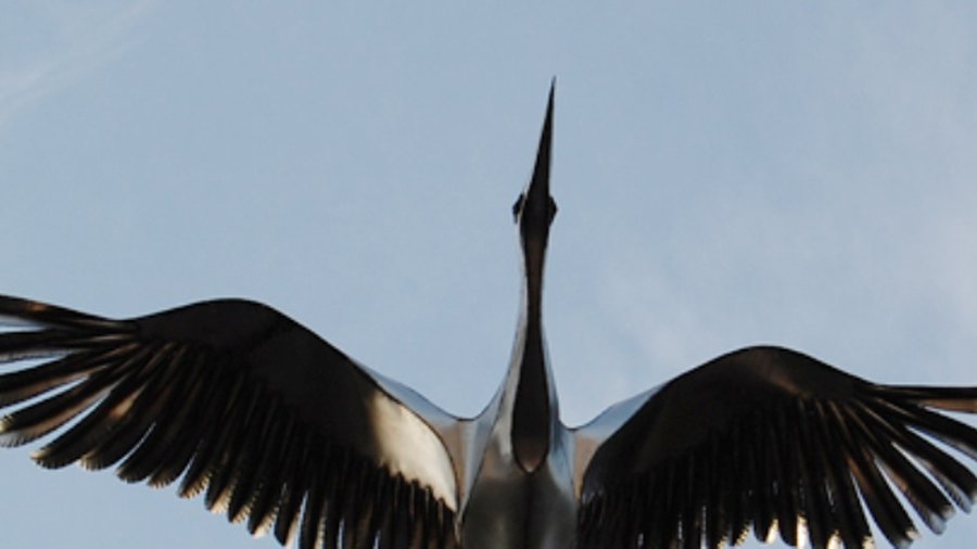 Когда Виолета Дилене приступит к исполнению обязанности главврача? - В Висагинасе