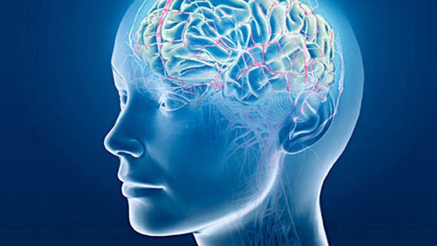 Ученые научились стирать и восстанавливать память - Наука и здоровье