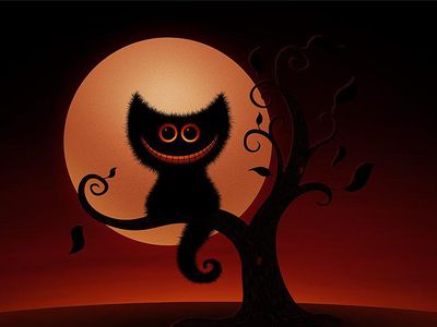 Планета отмечает Всемирный день кошек - Хобби, отдых и развлечения