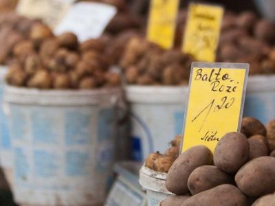 Россия запретила импорт картофеля из Литвы и других стран ЕС - Литва и страны Балтии