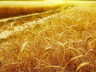 Orai: kaitra Lietuvoje įsivyraus - Lietuva ir Baltijos šalys