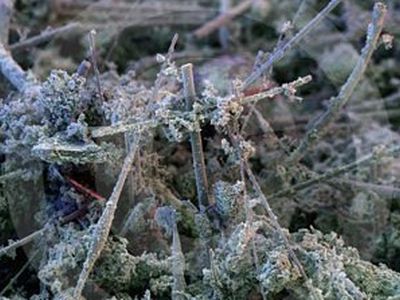 Извечный вопрос: откуда она взялась? - Наука и здоровье