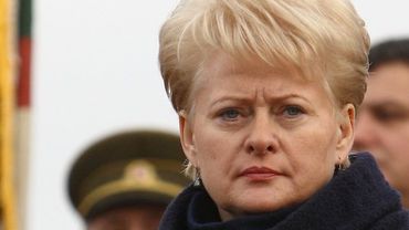 Президент Литвы: У наших границ концентрируются войска                                