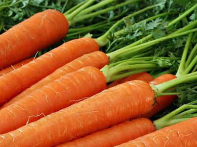 3 продукта, с которыми нужно быть осторожными - Наука и здоровье