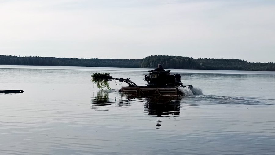 На пляже Висагинаса очищают берег от тростника (видео) - В Висагинасе