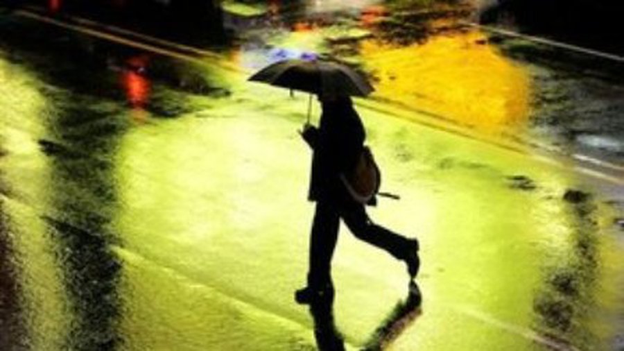 В новогоднюю ночь пойдет дождь, начало 2013 г. морозов не обещает - Литва и страны Балтии