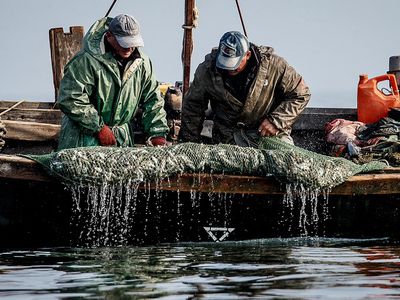 Уголовные дела возбуждены в отношении задержанных в Азовском море украинских рыбаков - В Мире
