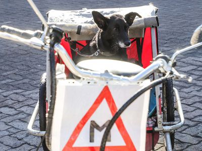 Правительство ослабляет карантинные ограничения - Литва и страны Балтии