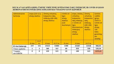 Гриппа в Висагинасе пока нет. Статистика ОРВИ и COVID-19