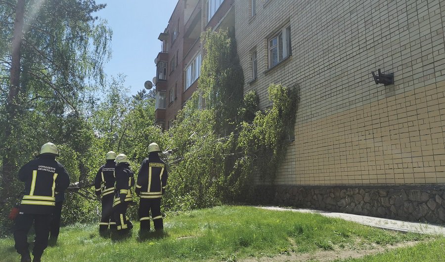 Пока думали, решали - В Висагинасе