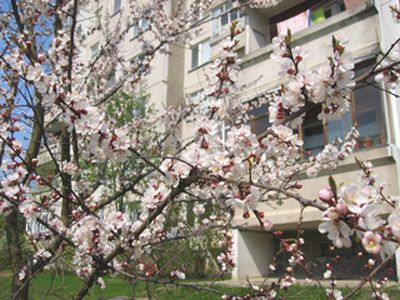 Завершен отопительный сезон 2007-2008 г.г . - В Висагинасе