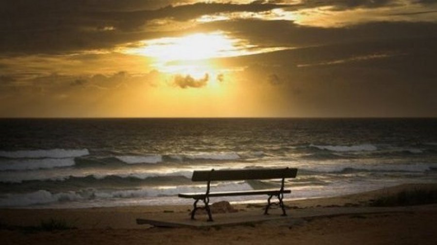 Литовцы отказываются от отпуска, так как боятся потерять работу  - Литва и страны Балтии