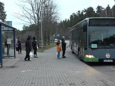 Автобусные рейсы в промышленную зону планируется сделать платными (видео) - В Висагинасе