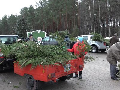 К Рождеству – подарки лесничих (видео) - В Висагинасе