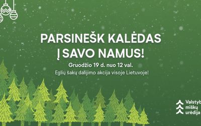 Лесное управление Литвы приглашает на акцию "Принеси Рождество в свой дом" 19 декабря - В Висагинасе