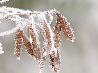 В Литву идет неприятная погода: сильный ветер и дождь - Литва и страны Балтии