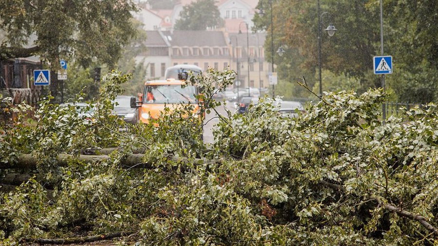Шторм оставил без электричества около 300 тысяч пользователей в Литве - Литва и страны Балтии