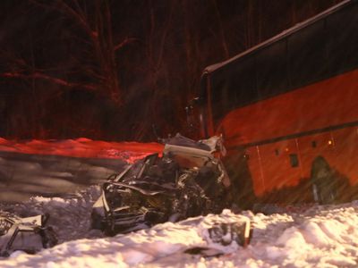 Лось – причина трагического ДТП под Вильнюсом - Литва и страны Балтии