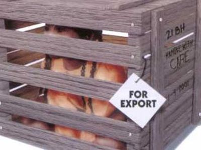 Задержаны подозреваемые в торговле людьми и вывозе девушек за границу - Происшествия и криминал