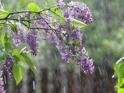 Погода: грядут перемены, тепло не уйдет, но станет свежее - Литва и страны Балтии