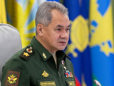 Шойгу назвал основную причину ЧП на глубоководном аппарате - В Мире