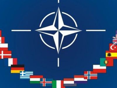 Что нам дает НАТО? - В Висагинасе