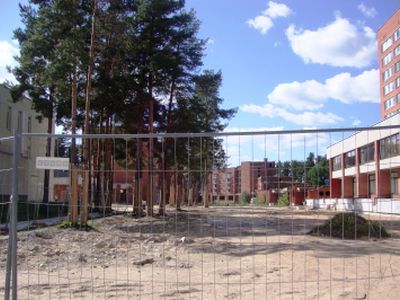 Реконструкция аллеи Седулинос, или «Чип&Дейл спешат на помощь»                                                                                         - В Висагинасе