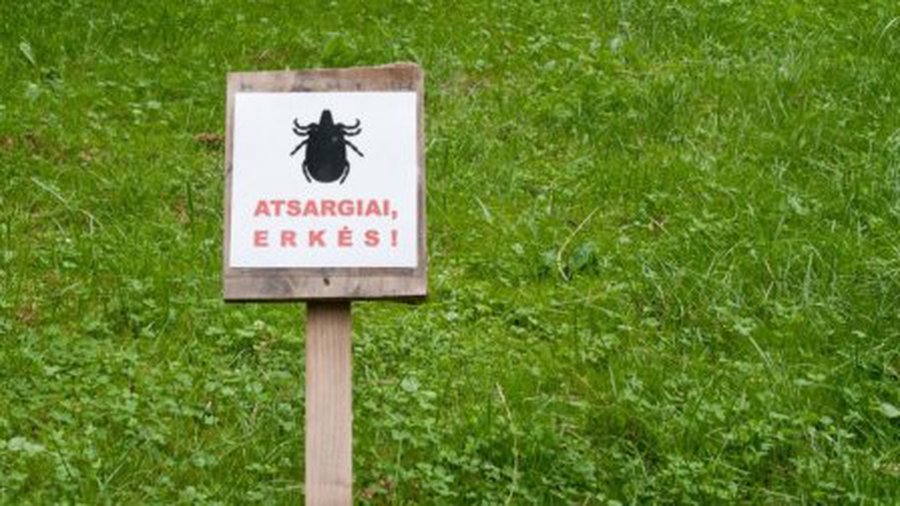 Предупреждение: в лесах очень много клещей - Литва и страны Балтии