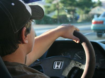 В Литве водителей, не выпускающих из рук телефоны, ждет лишение прав - Литва и страны Балтии