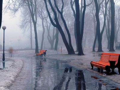 Дождь уничтожит напоминание о зиме - Литва и страны Балтии