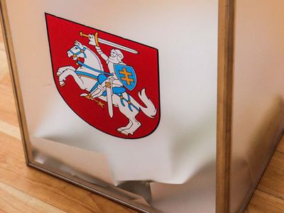 Наибольшее количество мандатов в муниципальных советах получат социал-демократы и консерваторы - Литва и страны Балтии