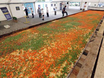 Польская лазанья попала в книгу рекордов Гиннеса - Хобби, отдых и развлечения