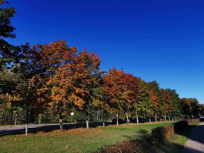 На этой неделе установится теплая, но дождливая погода - Литва и страны Балтии