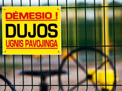 Грибаускайте: российский газ Литве скоро будет не нужен - Литва и страны Балтии