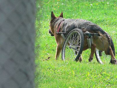  Informuoja policijos komisariatas                                 - Įvykiai ir kriminalas
