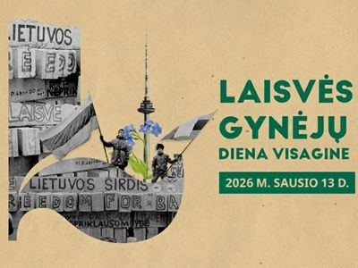 День защитников свободы в Висагинасе - В Висагинасе