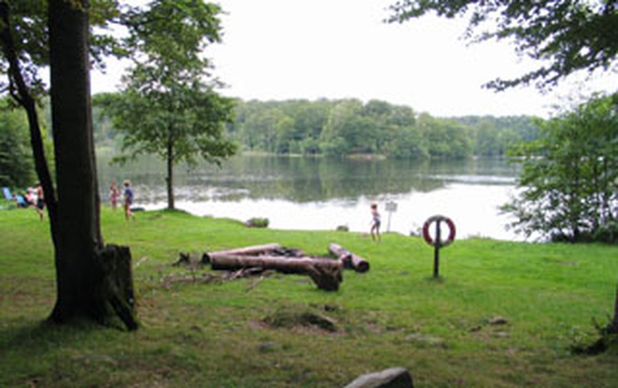 Рейд в окрестностях озера Висагинас - В Висагинасе