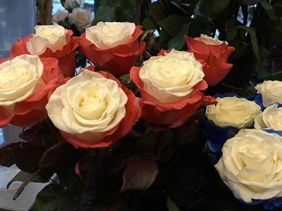 Висагинцы – о Дне святого Валентина (видео) - В Висагинасе