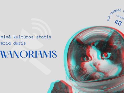 Присоединяйтесь к организации праздника дня города Висагинас - станьте волонтером! - В Висагинасе