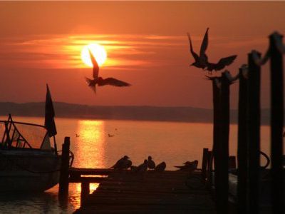 Жители Литвы предпочитают отдых в Белоруссии  - Хобби, отдых и развлечения