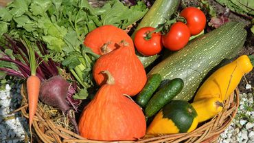 «Pavasaris» приглашает садоводов и гостей на праздник урожая