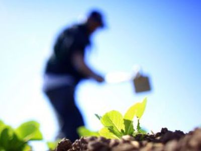 Немцы сняли фильм о жизни латвийских эмигрантов - Литва и страны Балтии