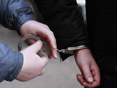 Литовские преступники лидируют по числу депортаций из Эстонии - Происшествия и криминал