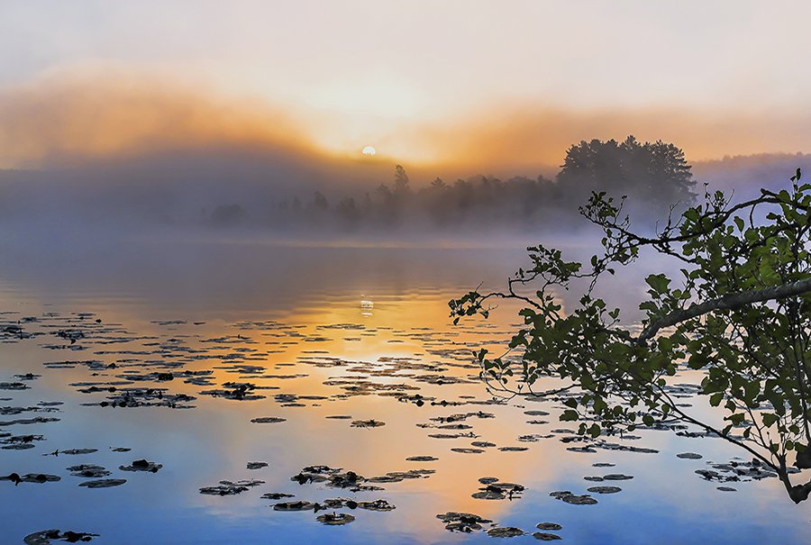 Посмотрите в даль с Пятрасом Билкисом (видео) - В Висагинасе
