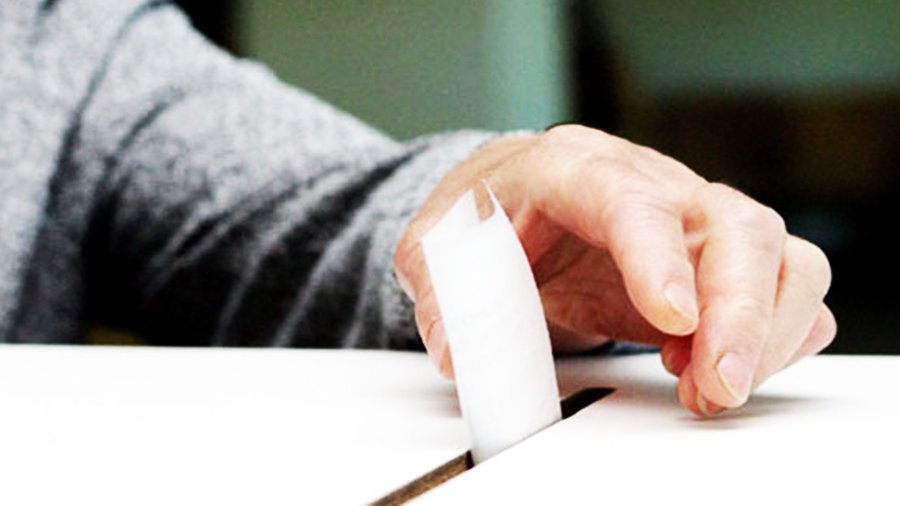 Результаты выборов: кто больше всех разочаровался в Грибаускайте - Литва и страны Балтии