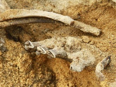 Drūkšių ežero pakrantėje buvo surasti žmogaus kaulai - Kultūros ir sporto renginiai