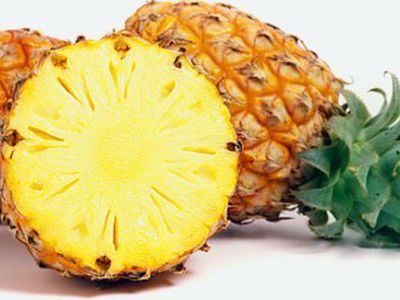 Ананасы — «фонтан здоровья» - Наука и здоровье