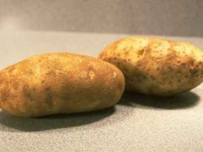 Ученые расшифровали геном картофеля
                 - Наука и здоровье