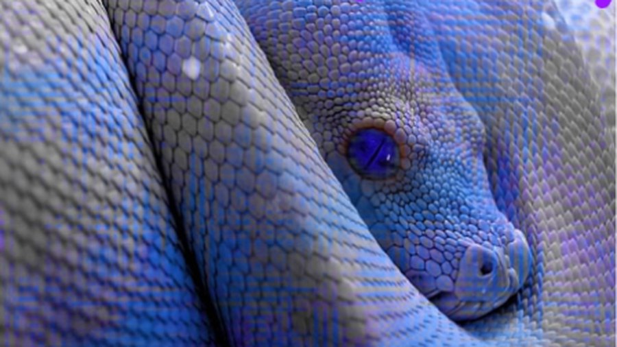 Как правильно встретить 2013 год: блюда, наряды, приметы
 - Литва и страны Балтии