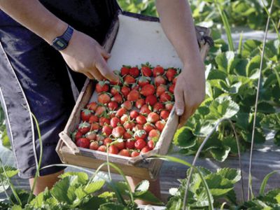 Мальчишки и девчонки, а также их родители и работодатели! - В Висагинасе